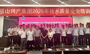 TC205委员借力IEC标准 帮助工程公司提高技术水平